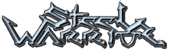 Steel Warrior